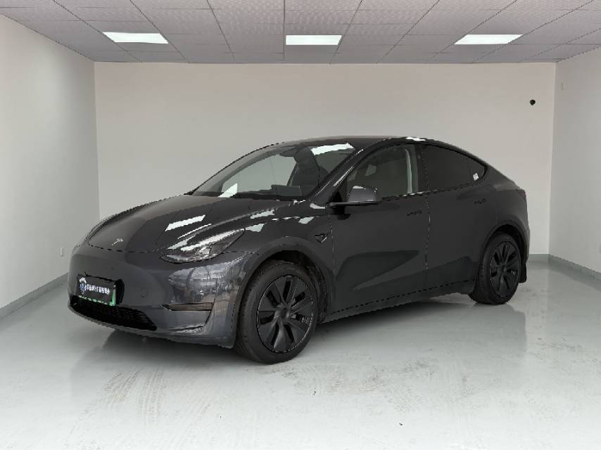 Tesla Model Y 2024 Tesla Model Y 2024 car image