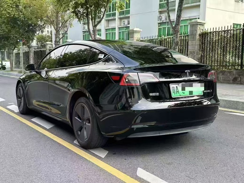 Tesla Model 3 2021 car image #6