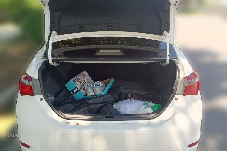 Toyota Corolla 2018 car image #21