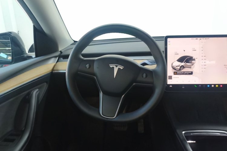 Tesla Model Y 2022 car image #15