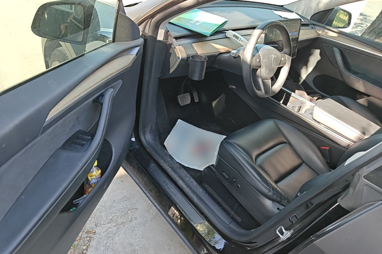 Tesla Model Y 2021 car image #16