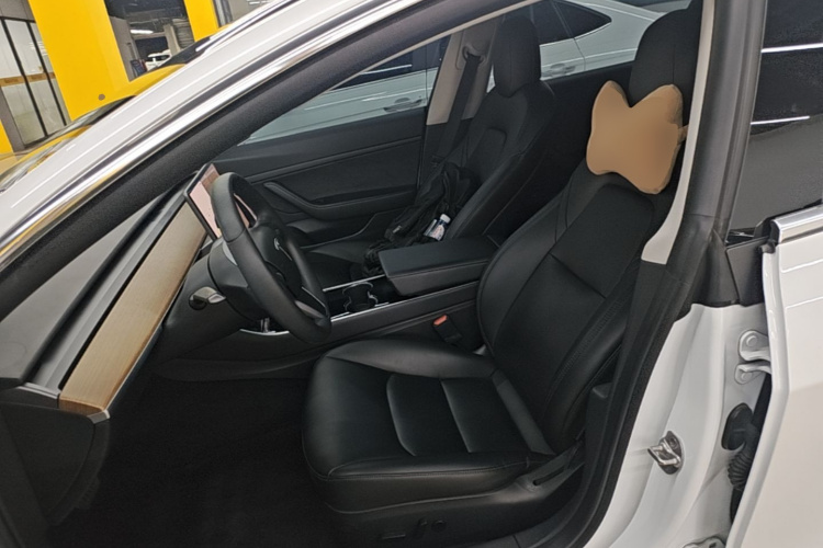 Tesla Model 3 2020 car image #15