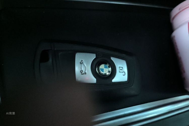 BMW 3 Series 2016 car image #10