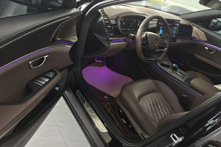 BYD Han 2021 #16 BYD Han 2021 imagen de coche #16