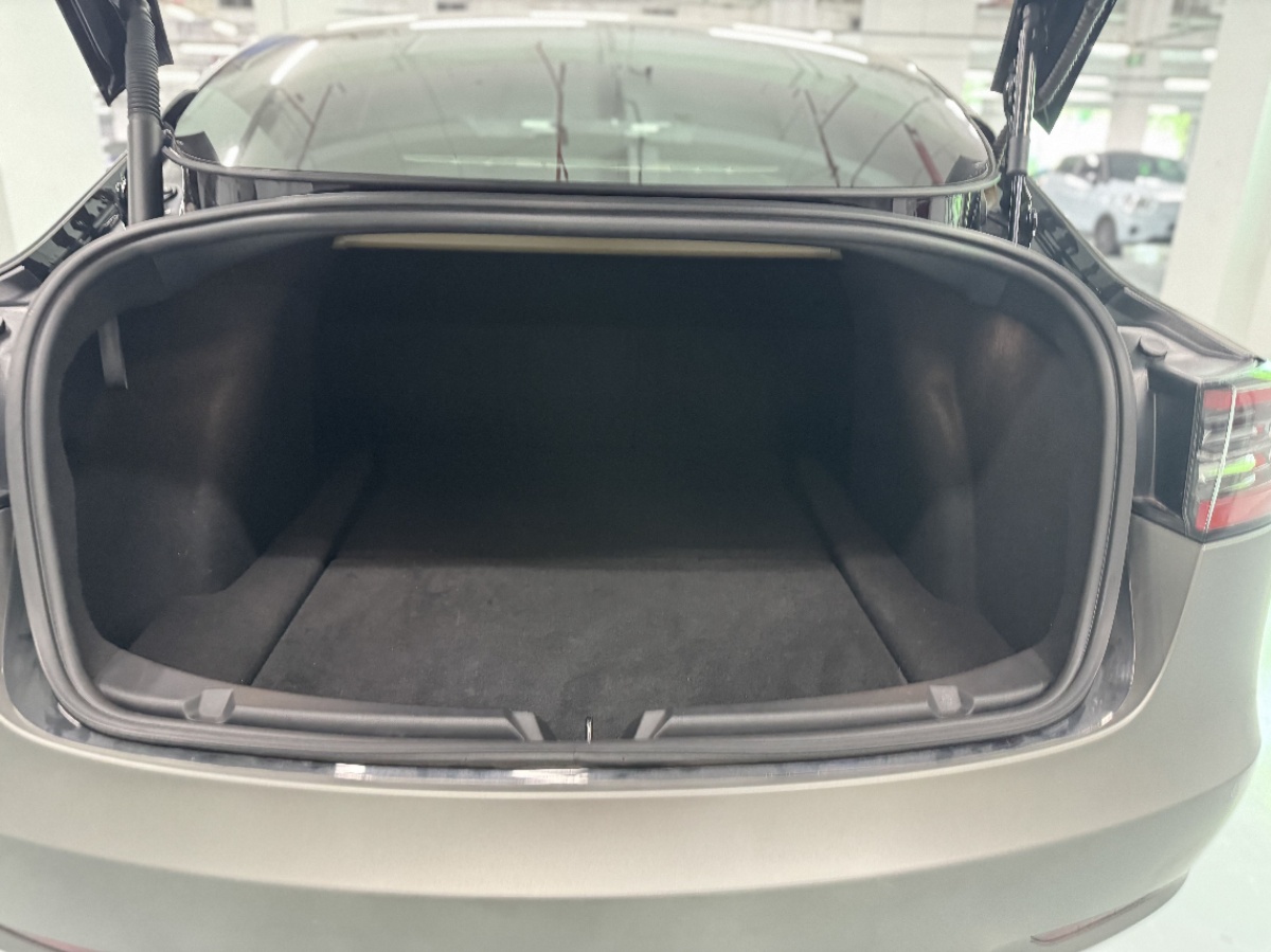 Tesla Model 3 2022 #7 Tesla Model 3 2022 car image #7