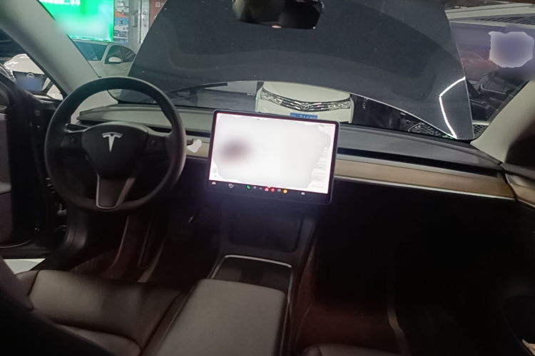 Tesla Model 3 2021 #10 Tesla Model 3 2021 car image #10