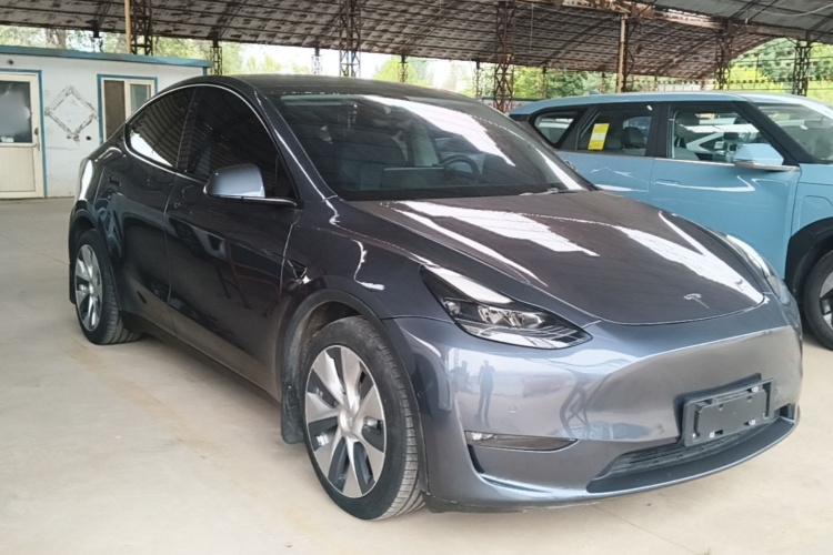 Tesla Model Y 2021 car image #6