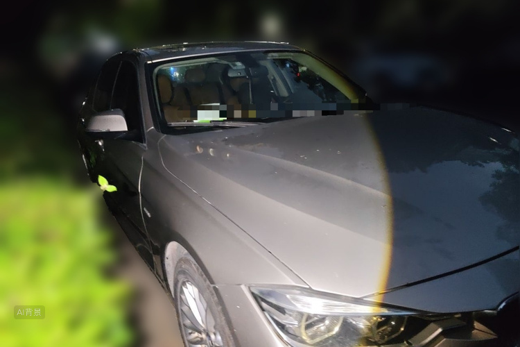 BMW 3 Series 2015 car image #4