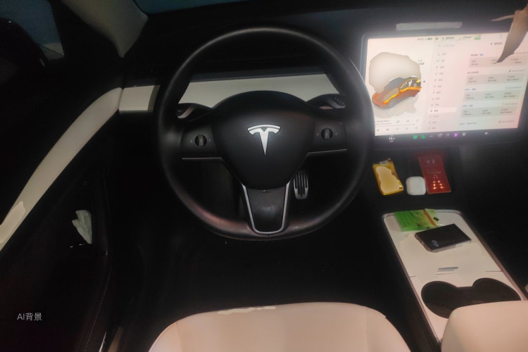 Tesla Model Y 2022 car image #12