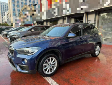 BMW X1 2019 car image 