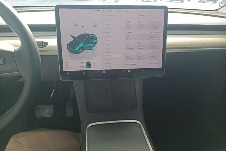 Tesla Model Y 2022 car image #13