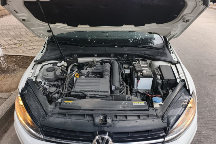 Volkswagen Golf 2020 car image #22