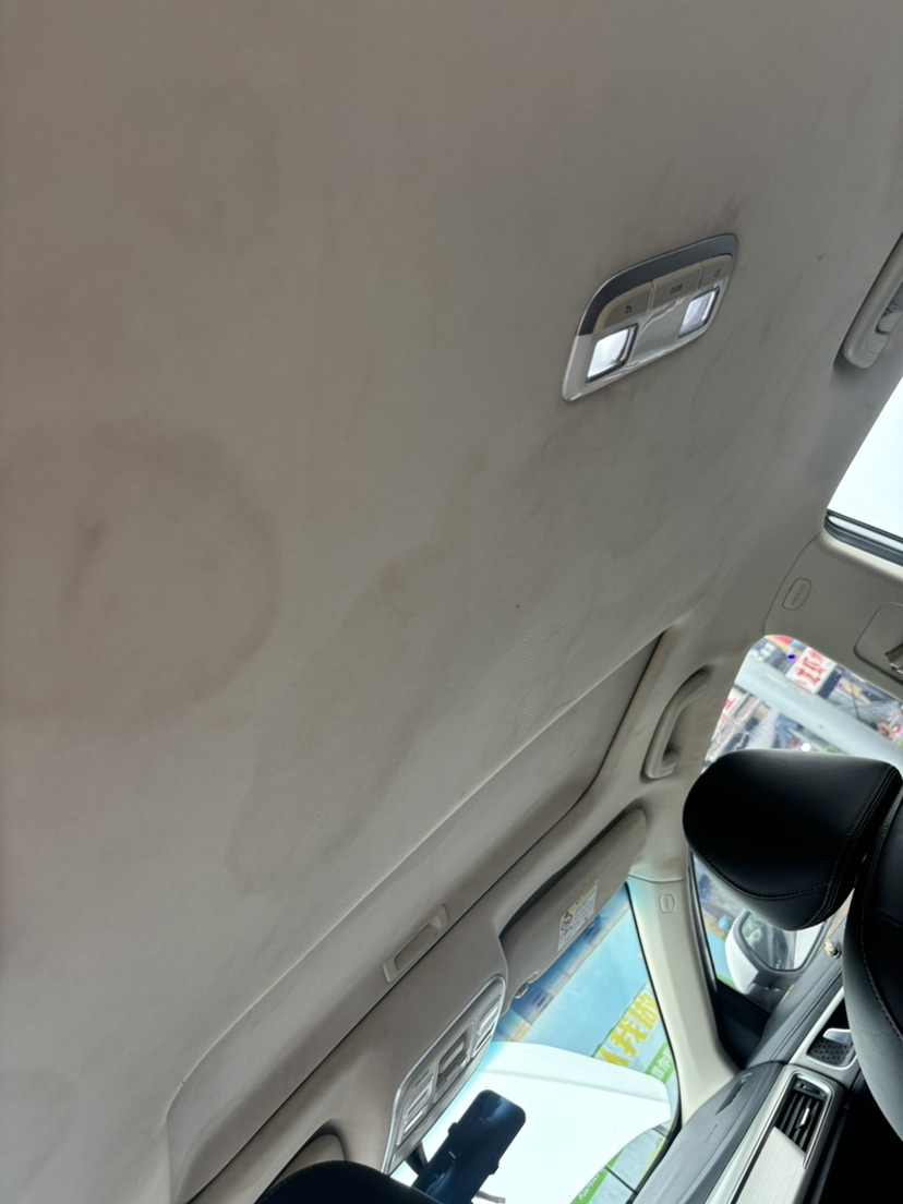 GEELY Emgrand GL 2017 car image #10