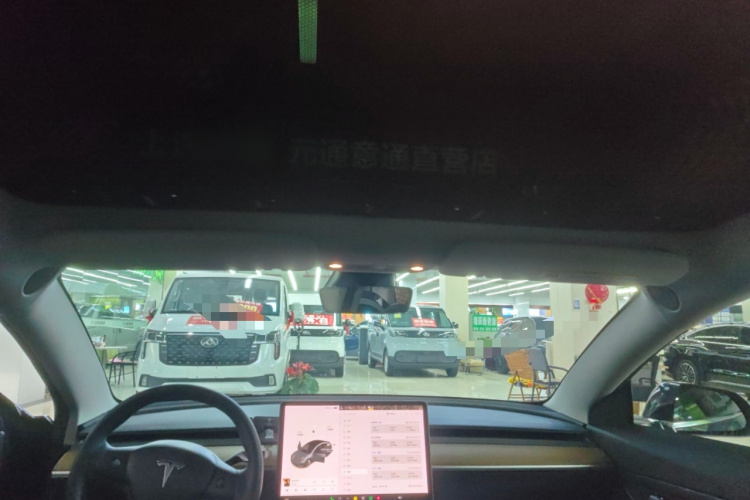 Tesla Model 3 2020 car image #18