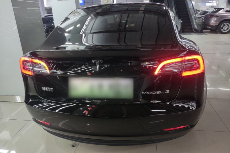 Tesla Model 3 2021 #6 Tesla Model 3 2021 car image #6