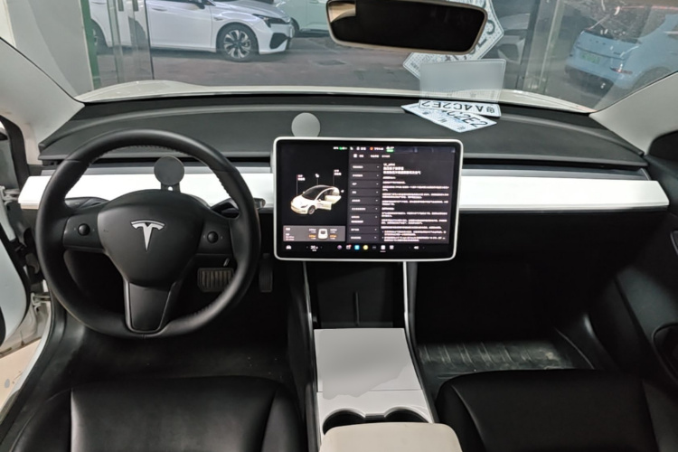 Tesla Model 3 2020 car image #10