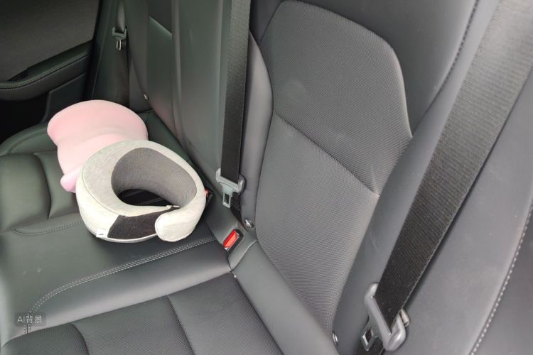 Tesla Model 3 2025 car image #19