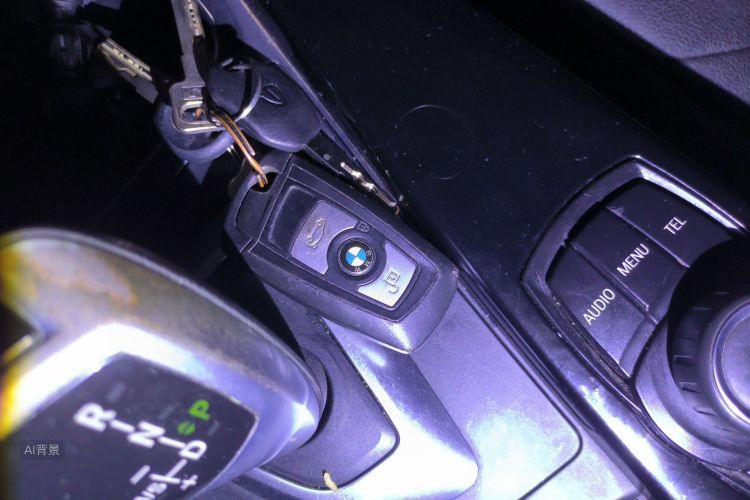 BMW 3 Series 2017 car image #10