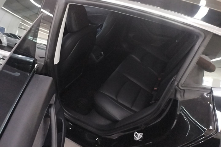 Tesla Model 3 2020 immagine di auto #17