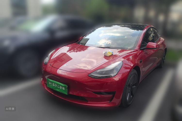 Tesla Model 3 2021 #2 Tesla Model 3 2021 car image #2