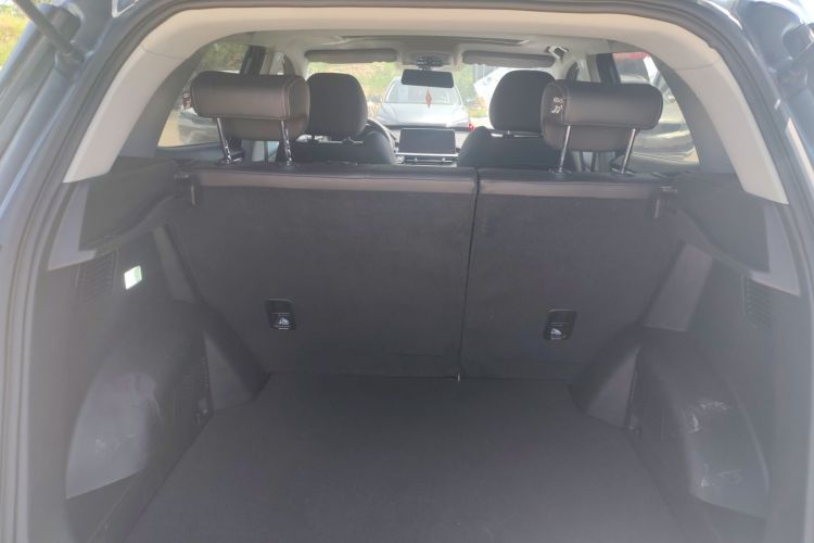 Chery Tiggo 5x 2020 imagen de coche #19