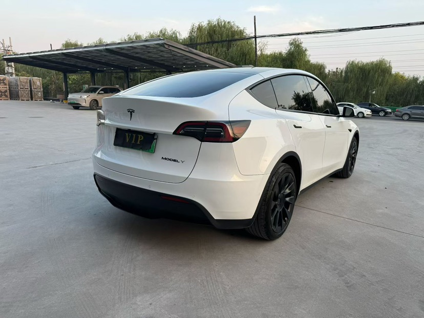 Tesla Model Y 2023 #4 Tesla Model Y 2023 car image #4