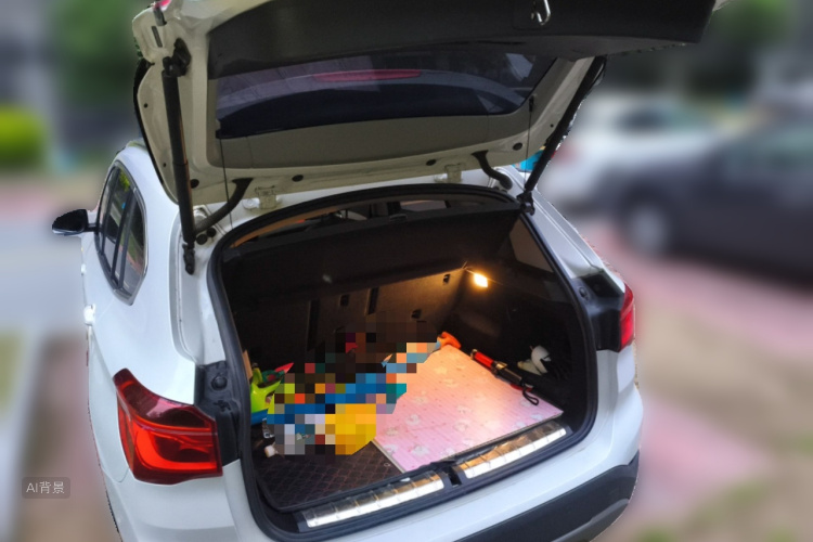 BMW X1 2018 car image #21