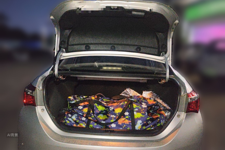 Toyota Corolla 2017 car image #21