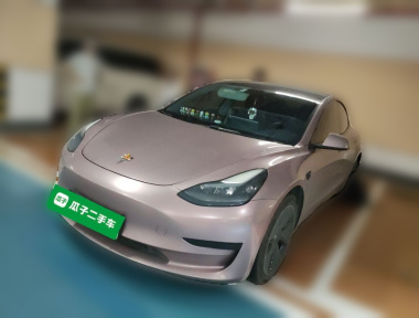 Tesla Model 3 2022 car image 