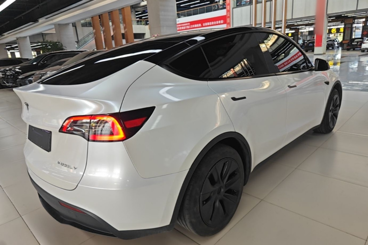 Tesla Model Y 2023 #7 Tesla Model Y 2023 car image #7