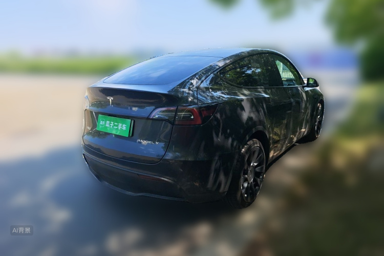Tesla Model Y 2024 car image #7