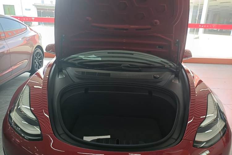 Tesla Model 3 2020 car image #20