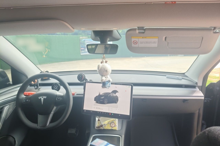 Tesla Model Y 2024 car image #12