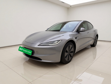 Tesla Model 3 2025 Tesla Model 3 2025 car image