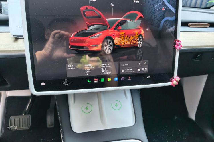 Tesla Model Y 2022 car image #15