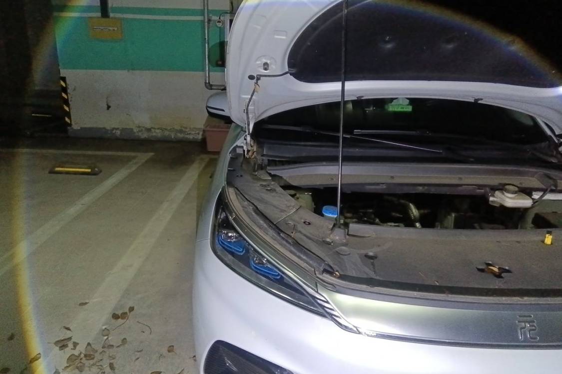 BYD Yuan Plus 2023 car image #11