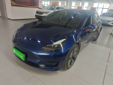 Tesla Model 3 2021 car image 