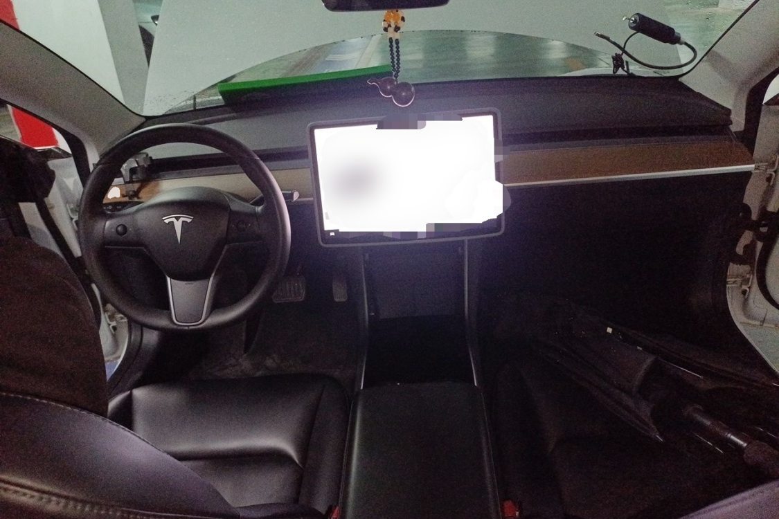 Tesla Model 3 2020 #21 Tesla Model 3 2020 car image #21