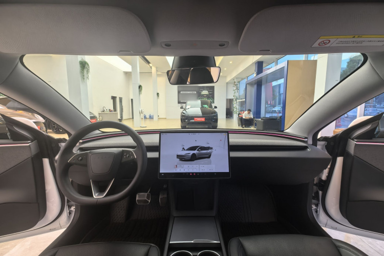 Tesla Model 3 2024 immagine di auto #10