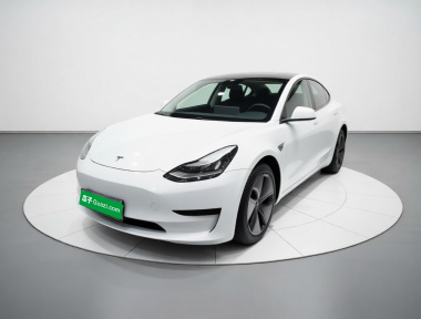 Tesla Model 3 2020 Tesla Model 3 2020 car image