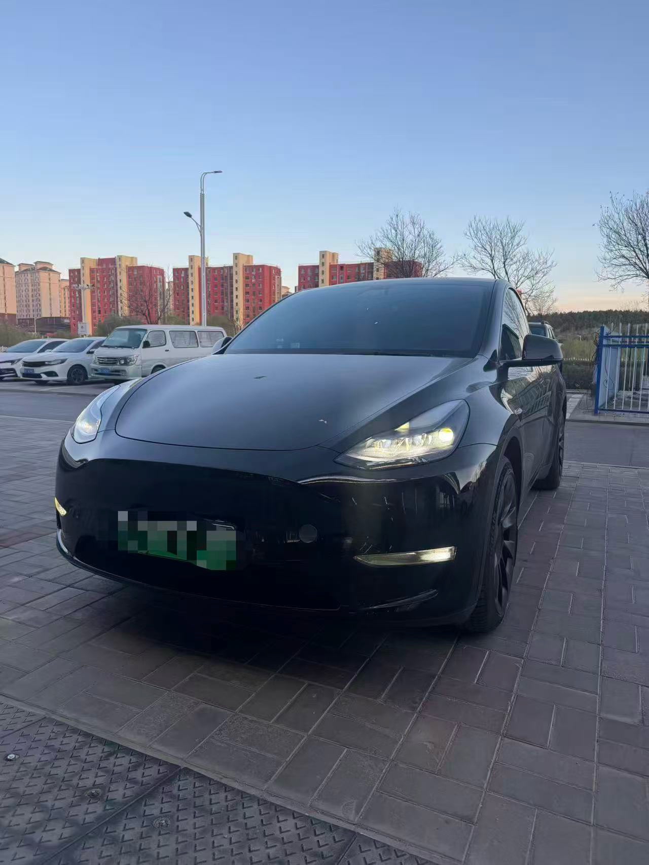 Tesla Model Y 2022 car image 