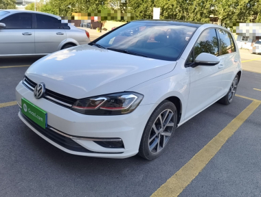 Volkswagen Golf 2019 Volkswagen Golf 2019 car image