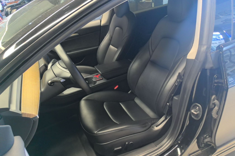 Tesla Model 3 2021 car image #15