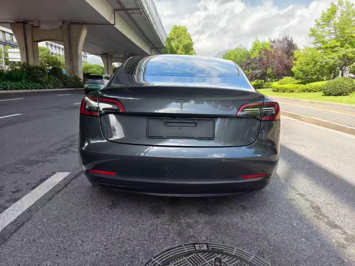 Tesla Model 3 2021 #4 Tesla Model 3 2021 car image #4