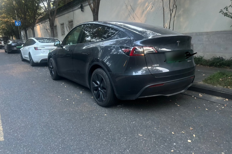Tesla Model Y 2024 #8 Tesla Model Y 2024 car image #8