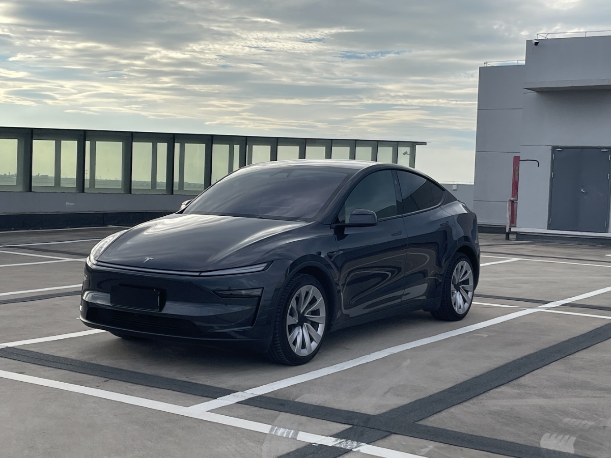 Tesla Model Y 2025 Tesla Model Y 2025 car image