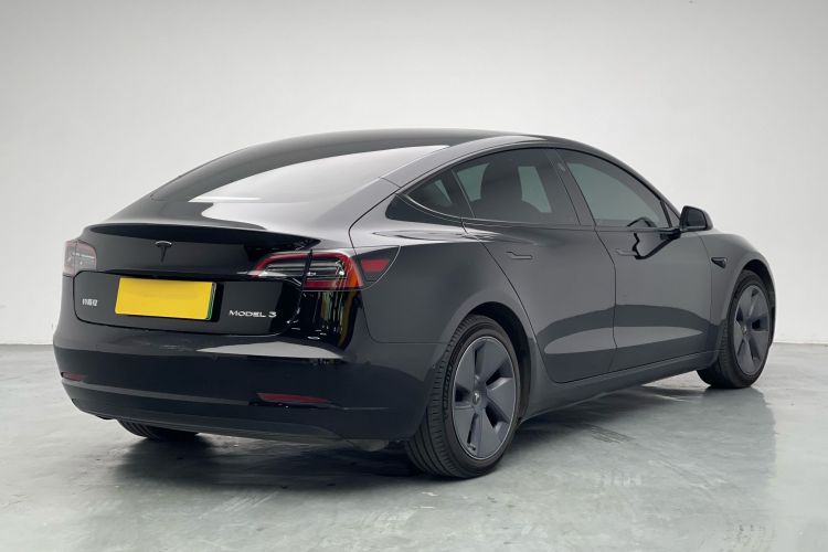 Tesla Model 3 2021 car image #6
