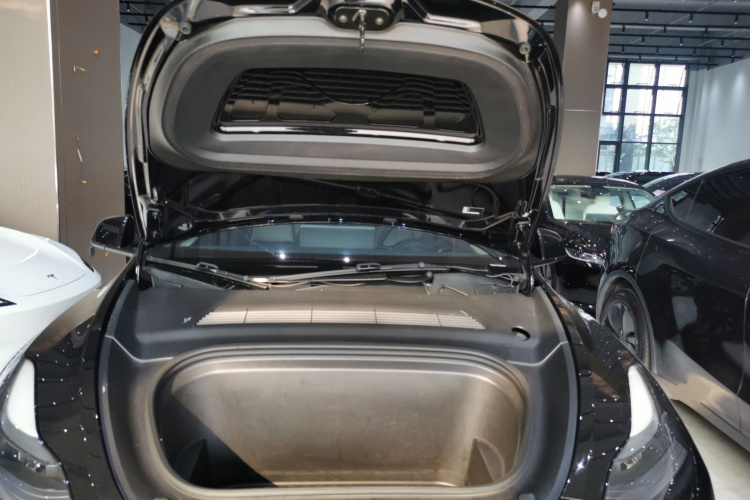 Tesla Model Y 2021 car image #20