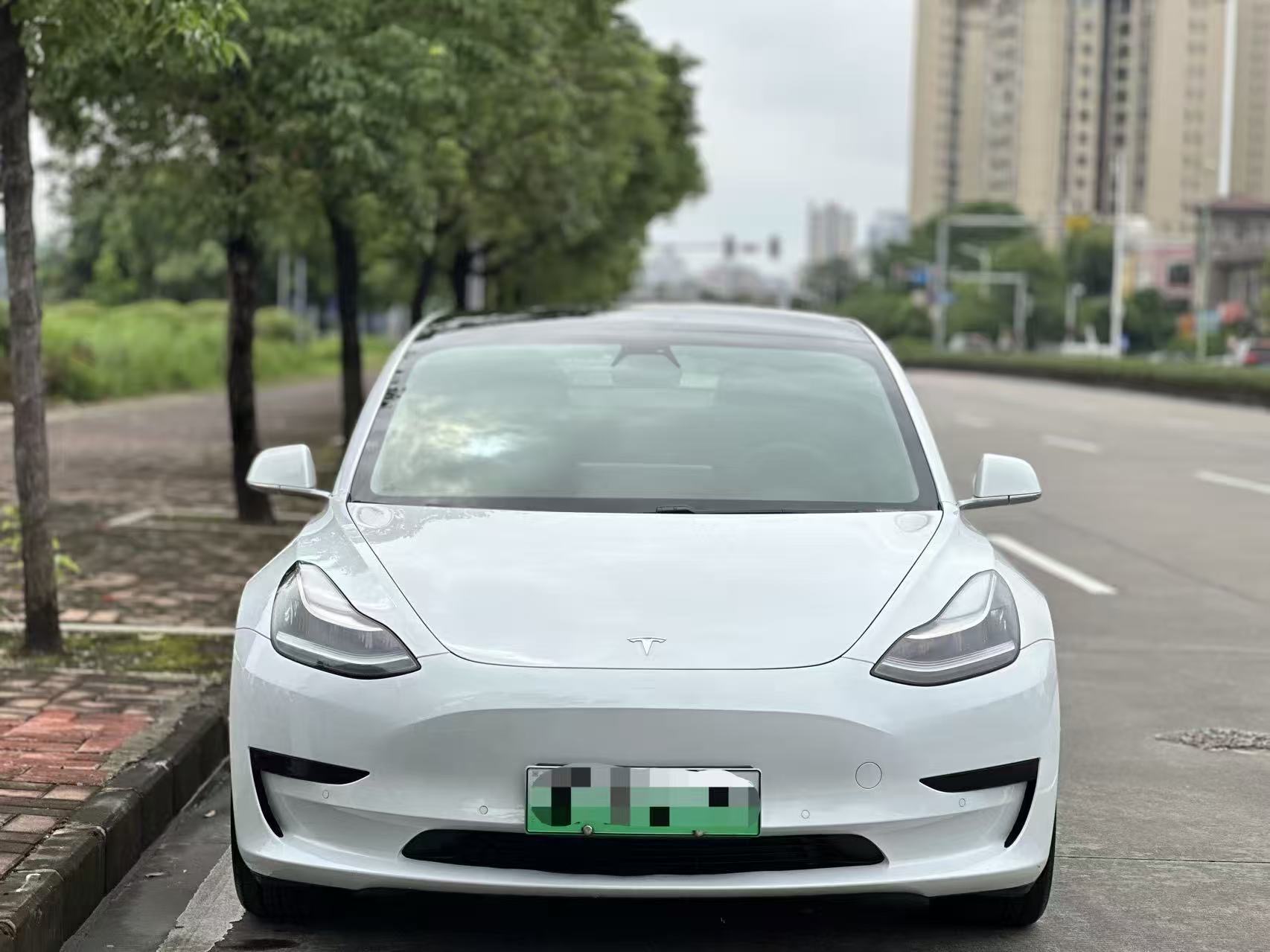 Tesla Model 3 2020 #2 Tesla Model 3 2020 car image #2