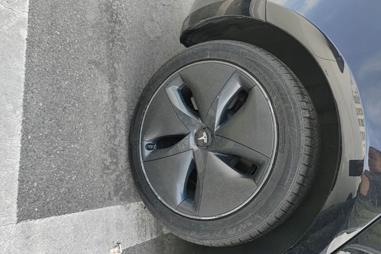 Tesla Model 3 2020 صورة سيارة #10